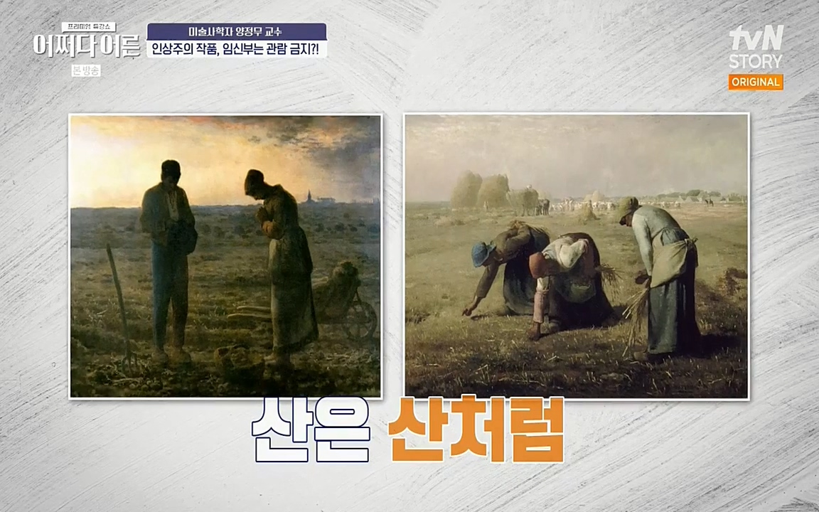어쩌다 어른.E05.220708p-NEXT.mp4_20220904_181130.045.jpg