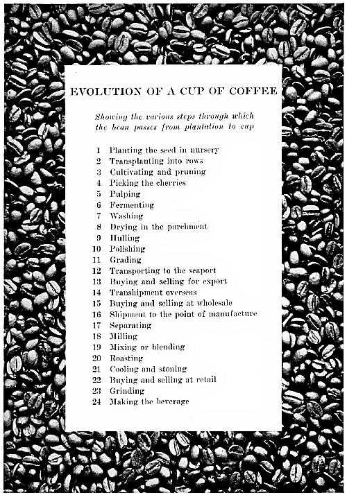 Evolution of A Cup of Coffee&#44; 한잔의 커피가 될때까지