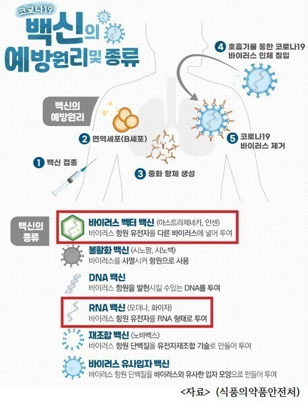  코로나 19 백터 DNA 백신 얀센 아스트라제네카 시노팜 모더나 화이자 노바백스