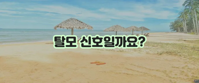 머리카락이 갑자기 많이 빠진다면 탈모 초기증상일 수 있습니다!
