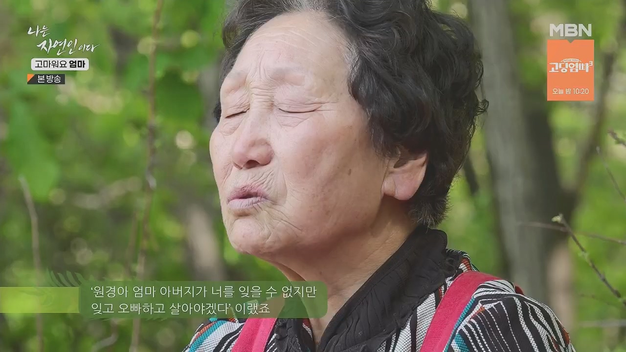 나는 자연인이다.E554.230518p.H264-F1RST.mp4_20230518_194514.154.jpg