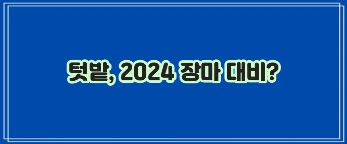 2024년 장마 기간, 텃밭 장마 대비가 중요합니다!