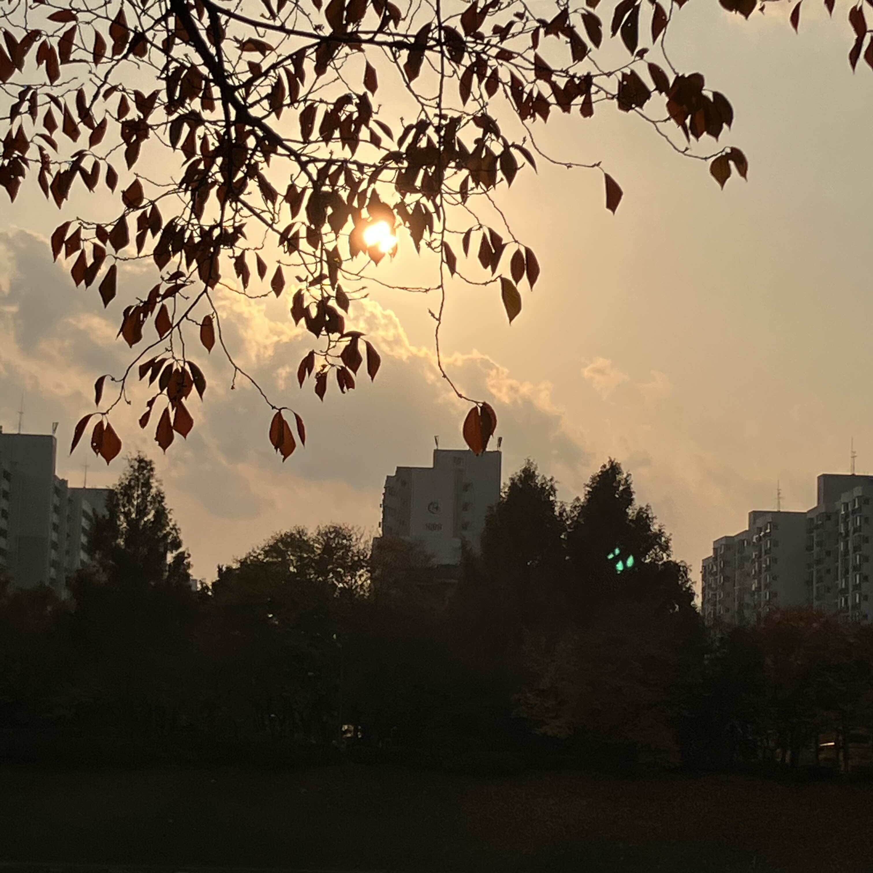 산책과 식욕의 계절
