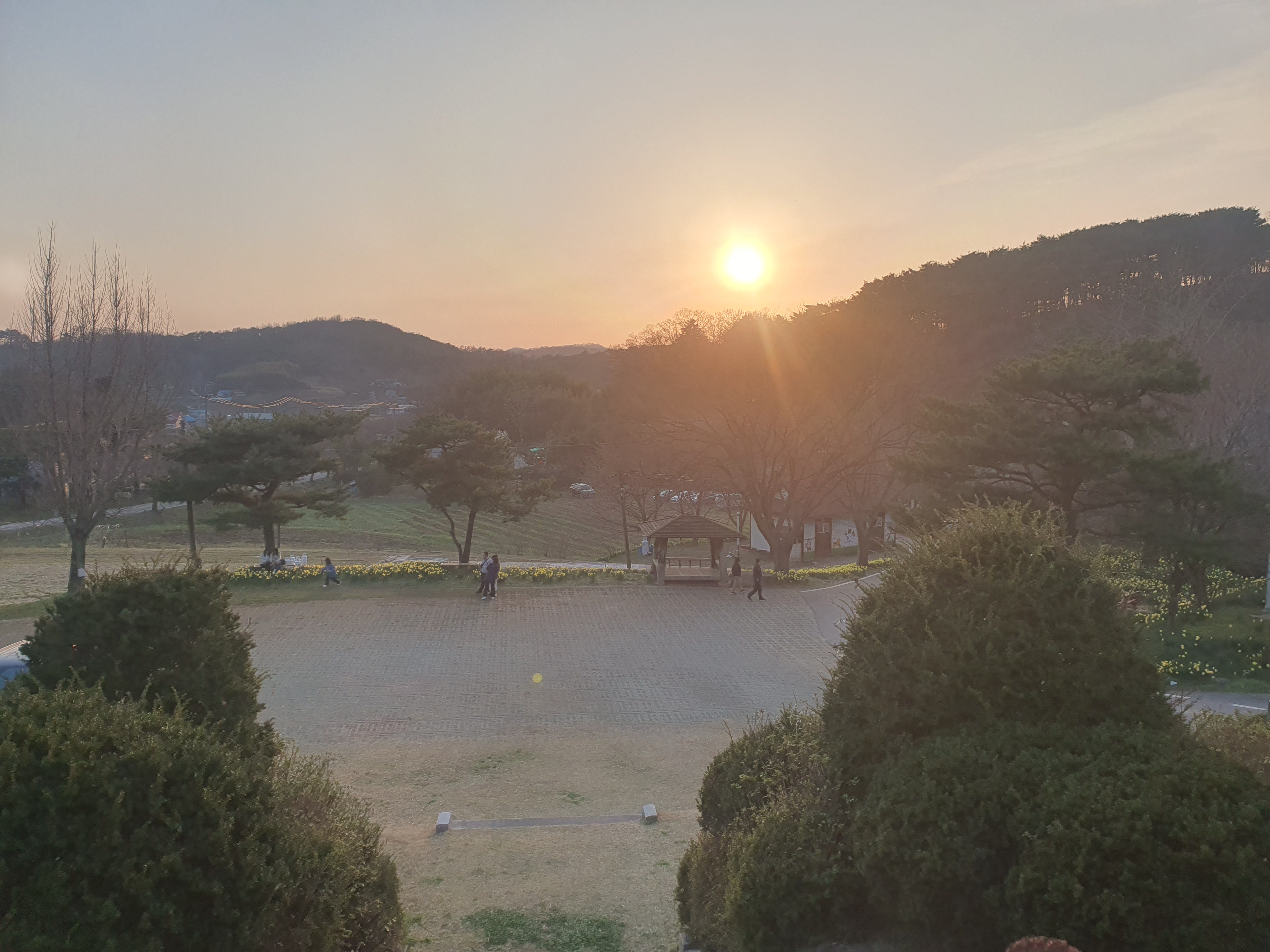 홍성 거북이 마을 봄꽃 명소