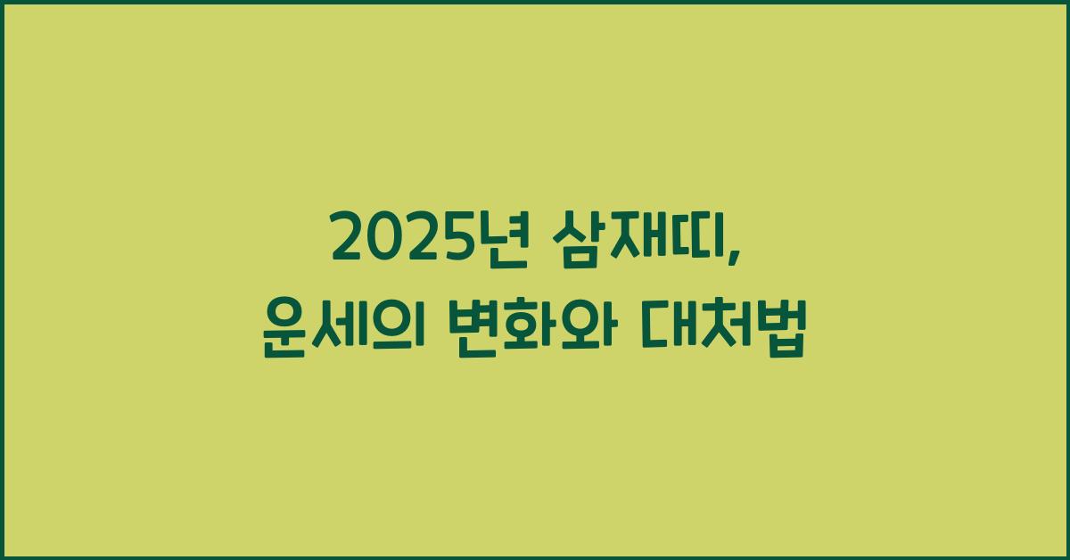 2025년 삼재띠