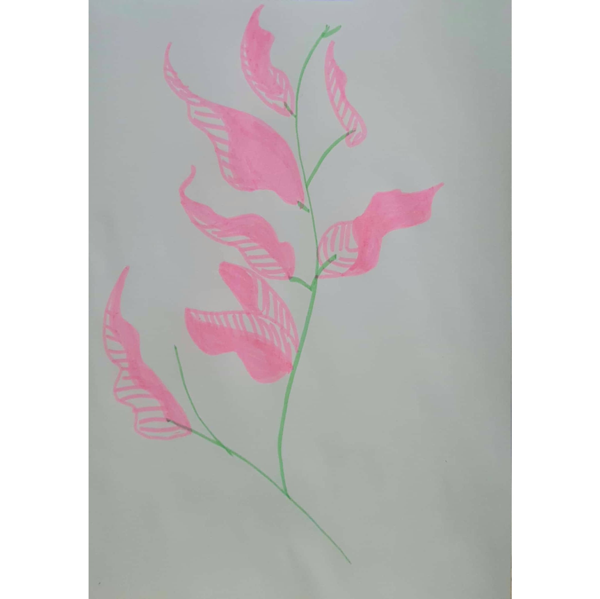  Dry Leaves 일러스트 일러스트레이션 그림 드로잉 형관펜화 그리기 마른 잎사귀