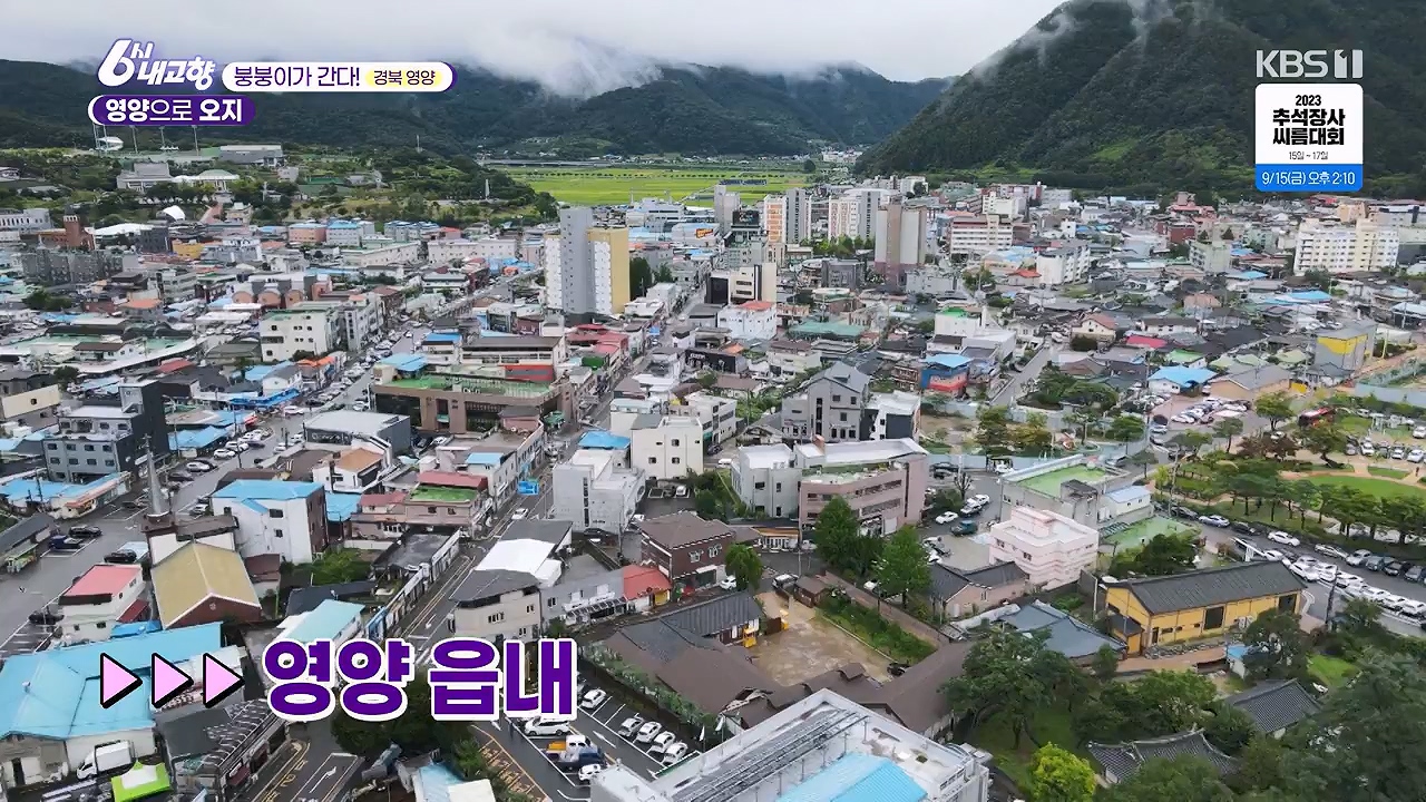 6시 내고향.E7878.230912p-NEXT.mp4_20230918_211135.408.jpg