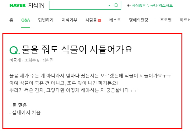 물을 줘도 식물이 시들어서 고민 지식인