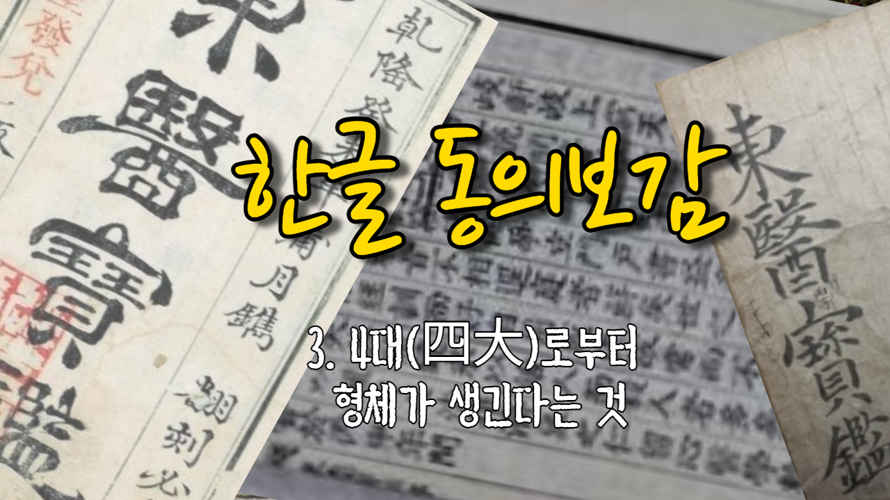  3. 4대(四大)로 부터 형체가 생긴다는 것 ( 내경편 신형 )
