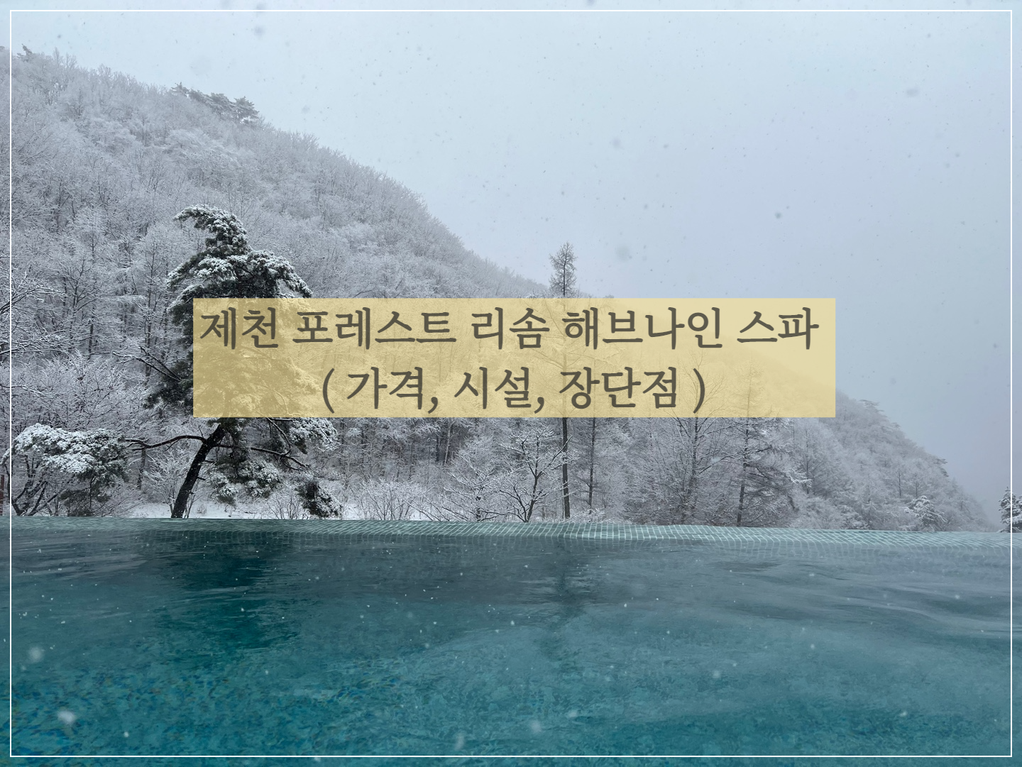  제천 리솜포레스트 해브나인 스파 (이용시간, 가격, 시설, 장단점)