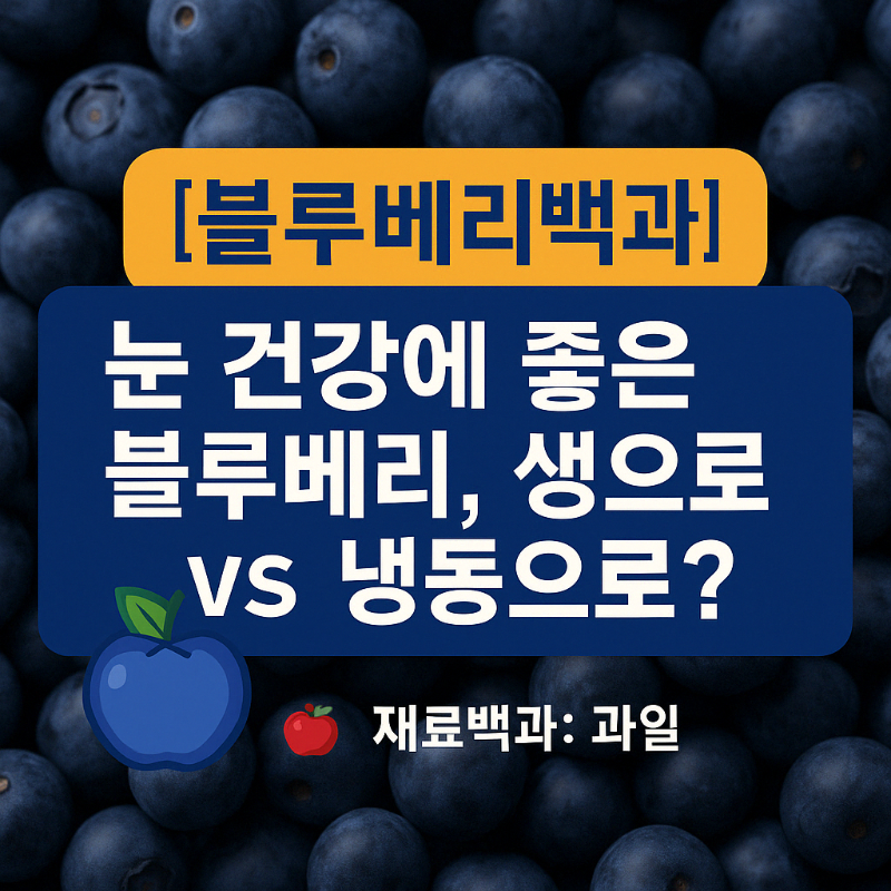 생 블루베리와 냉동 블루베리의 눈 건강 효능을 비교한 인포그래픽 썸네일 이미지