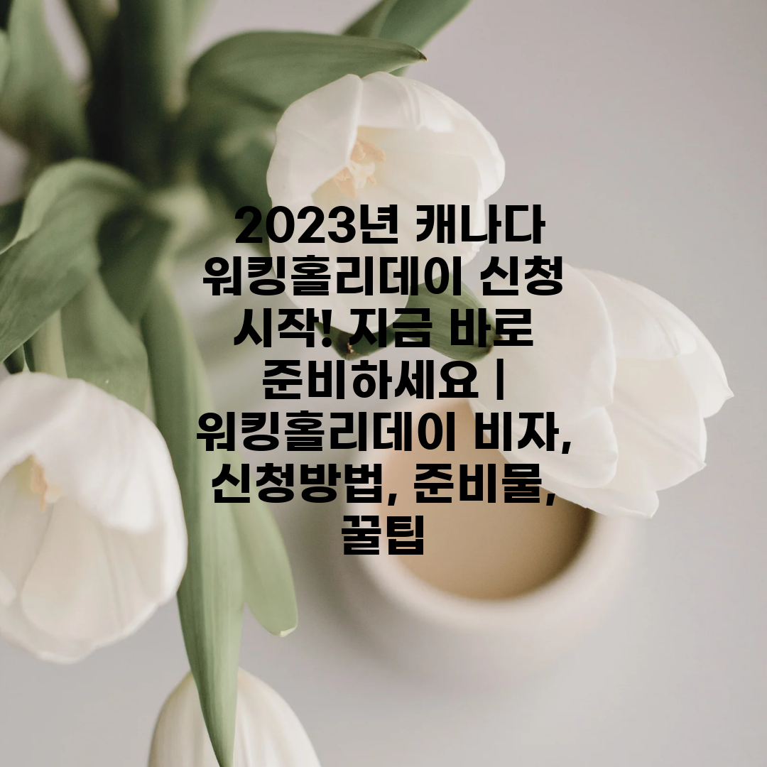  2023년 캐나다 워킹홀리데이 신청 시작! 지금 바로