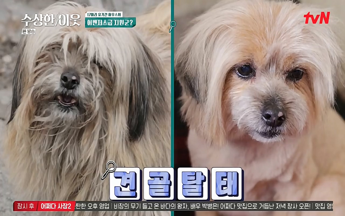 수상한 이웃.E04.220422p-NEXT.mp4_20220424_193223.742.jpg