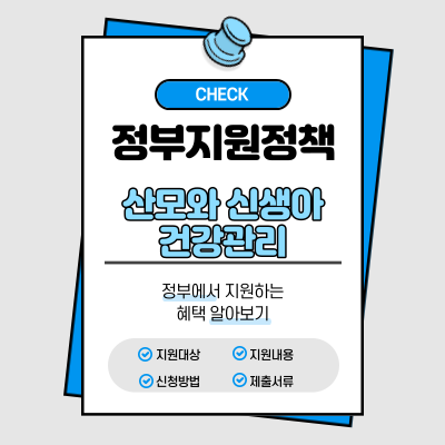  산모와 신생아 건강관리를 위한 정부 지원 정책