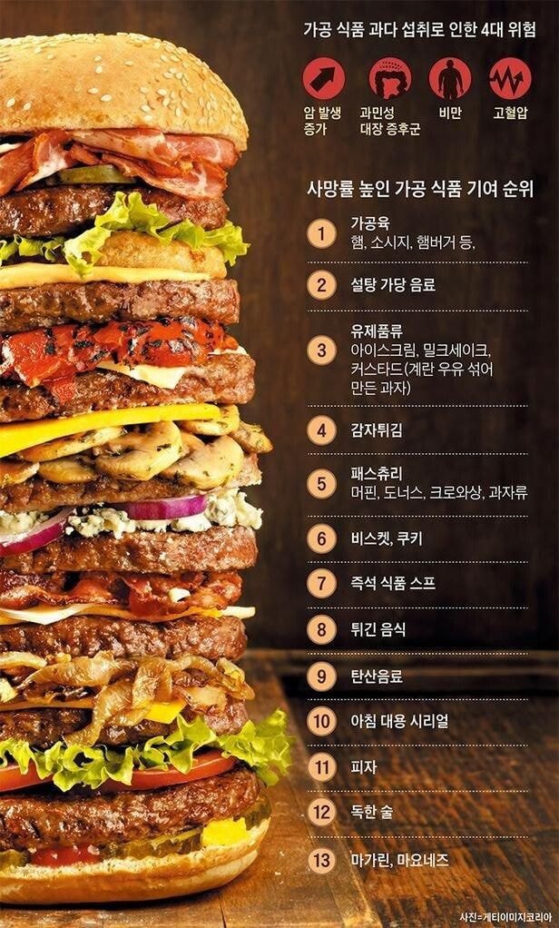  사망율 높은 가공 식품 기여 순위