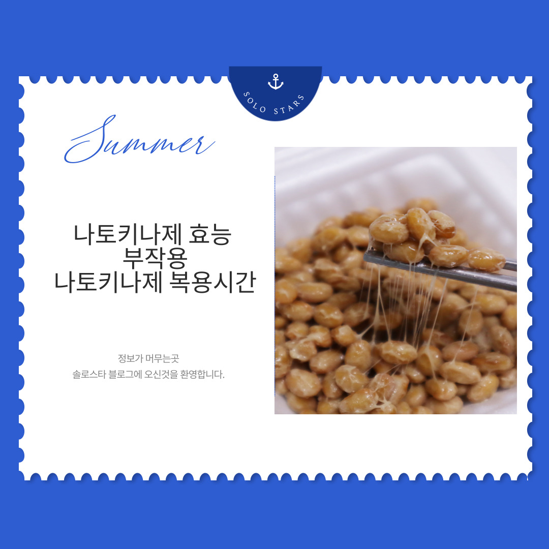 낫또 사진