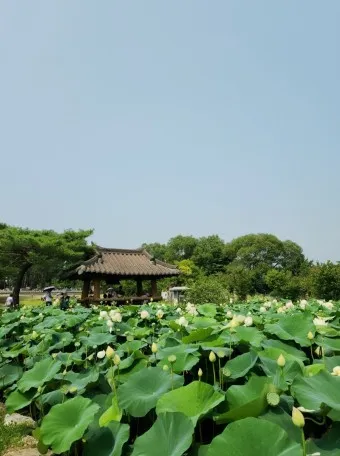 양평 가볼만한곳 베스트10 현지인 추천 필수코스_10