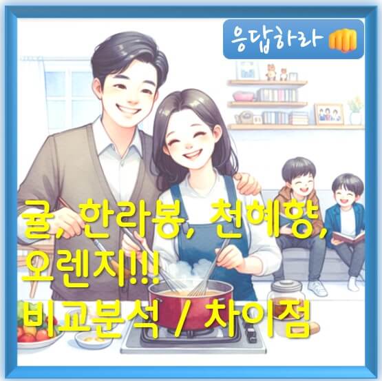 귤, 한라봉, 천혜향, 오렌지 차이점 총정리!