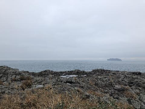 새섬