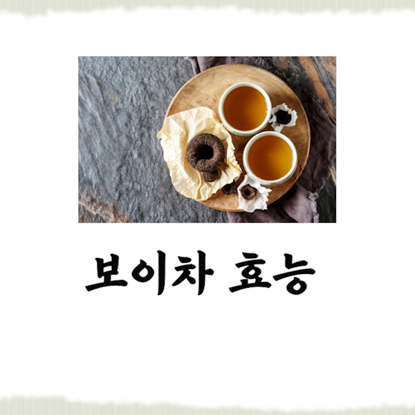  보이차 효능 부작용까지 꼭 알고가세요