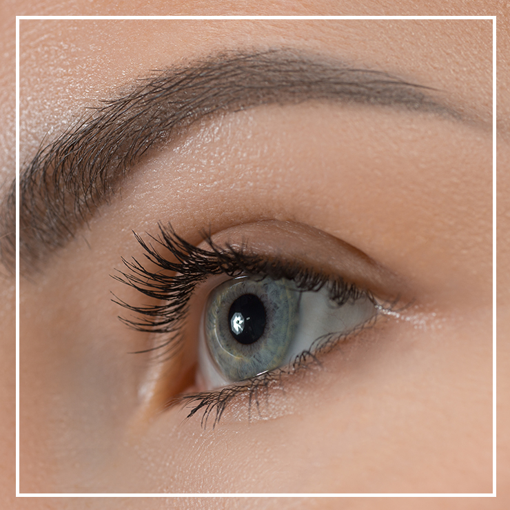 치료 방법에 대해 알려드립니다. 황반변성 종류와 증상, 1