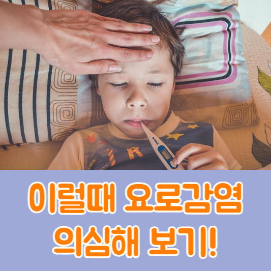 요로감염