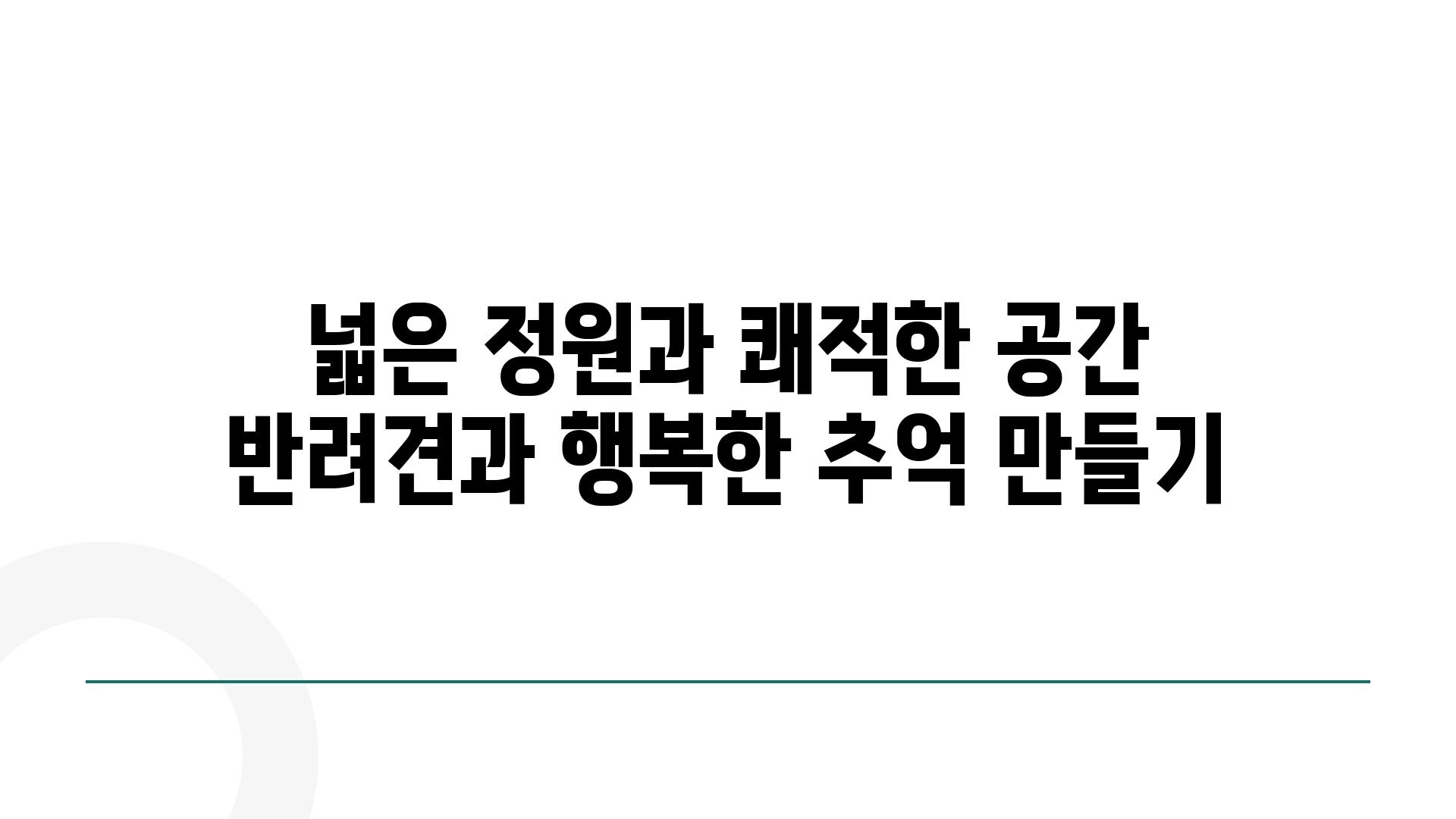 넓은 정원과 쾌적한 공간 반려견과 행복한 추억 만들기