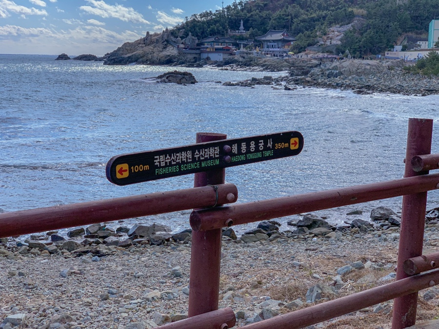 주차 꿀팁 (Hint : 해파랑길 2코스) 부산 여행 필수 코스! 해동용궁사 15
