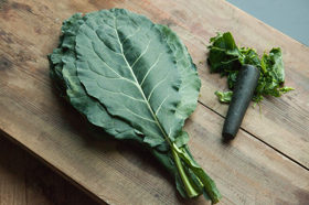  케일(Kale)의 놀라운 건강 효과! 알아야 할 11가지!