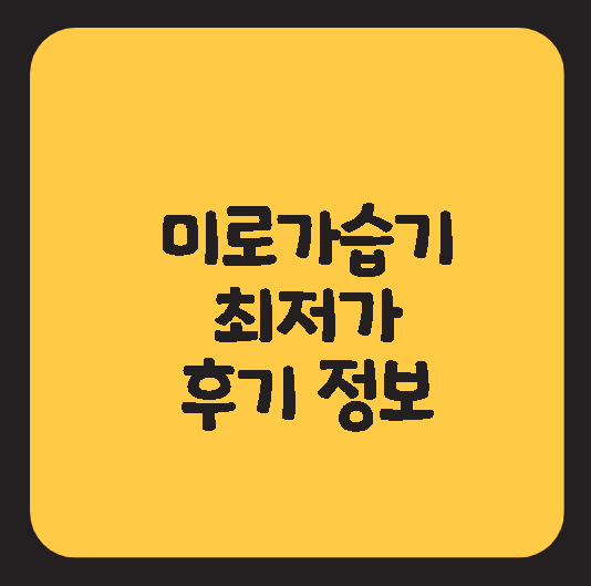  미로가습기 BEST10 최저가 후기 초음파 UV살균 간편세척 NR10A NR07S 대용량 NR08M MH7000