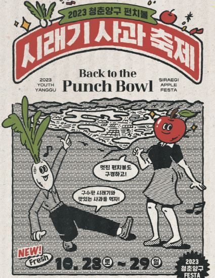 양구펀치볼사과 이미지