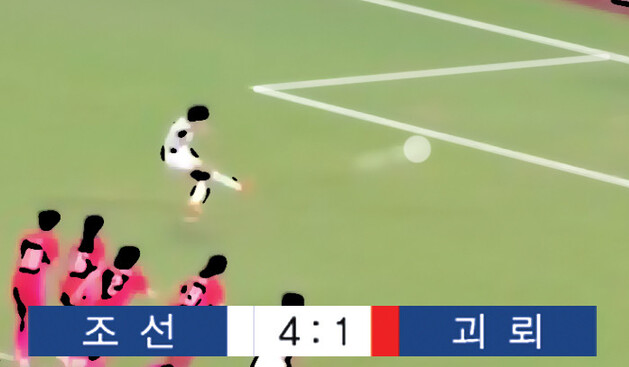  괴뢰 뜻 북한 축구 남조선 의미 도당 영어로 군 팀