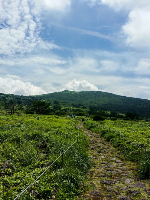 한국 명산 제주 한라산 어리목 윗세오름 등산 mountain hiking