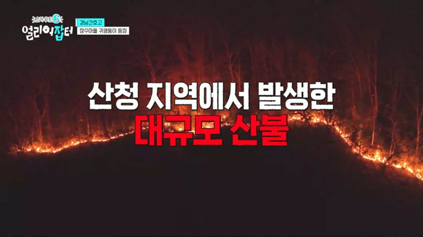 고령화 마을 + 산불 피해 지역으로 봉사 활동을 간다는 경남 한 고등학교 | 인스티즈