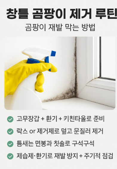 창틀 곰팡이 제거 루틴 – 곰팡이 재발 막는 방법