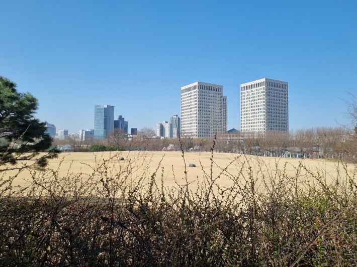 잔디밭