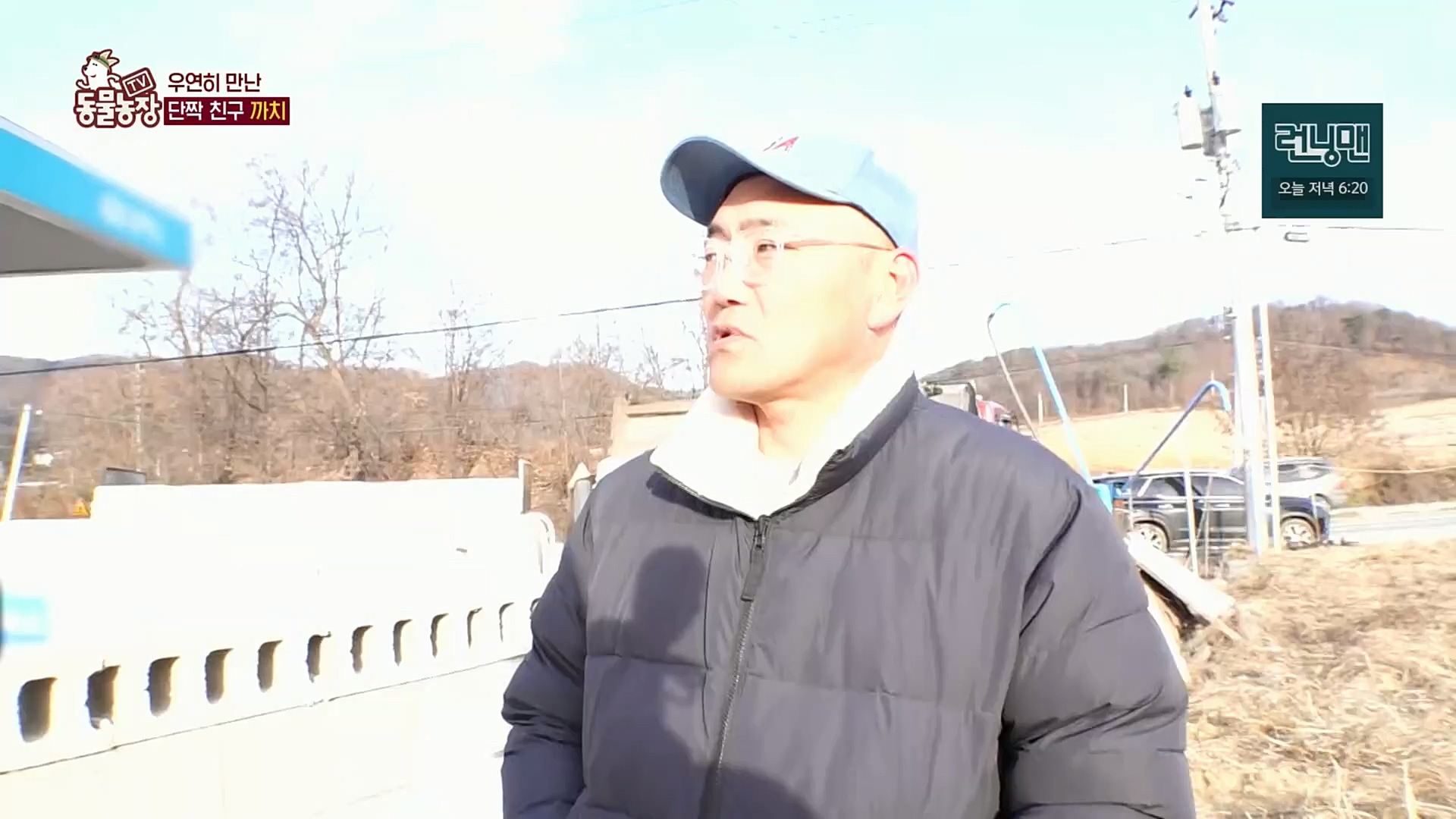 TV 동물농장.E1102.230101p.H264-F1RST.mp4_20230101_182834.226.jpg