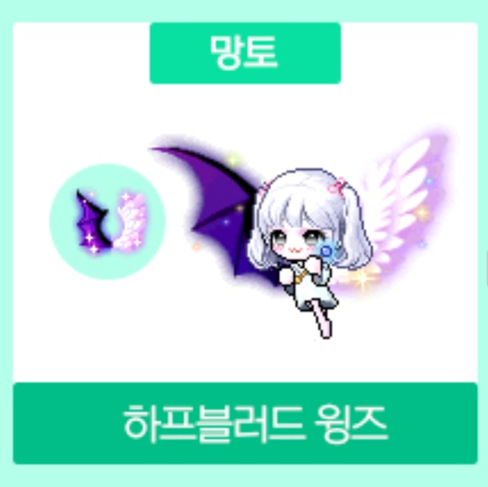 메이플 기념 상자 캐시템 목록 (12주년, 14주년 기념상자, 15번가 피크닉, 뉴트로 하이패션, 매스패션) :: 샐리의 메이플스토리 메이플 기념 상자 캐시템 목록 (12주년, 14주년 기념상자, 15번가 피크닉, 뉴트로 하이패션, 매스패션) :: 샐리의 메이플스토리