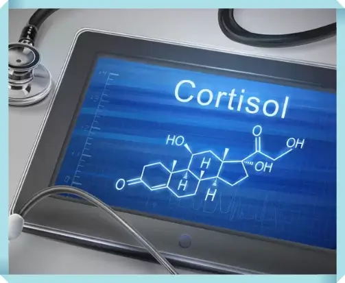 코르티솔 관리 방법