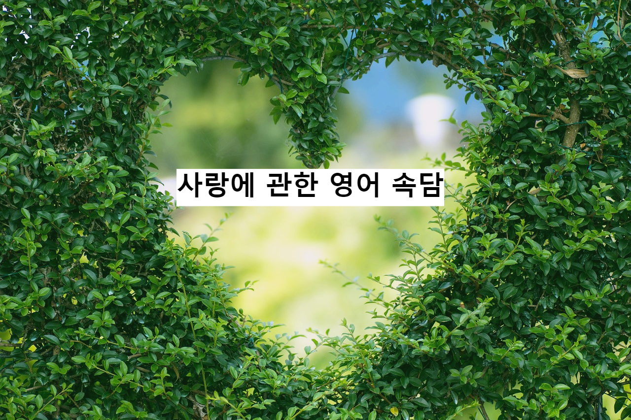  사랑과 관련된 영어 명언 모음