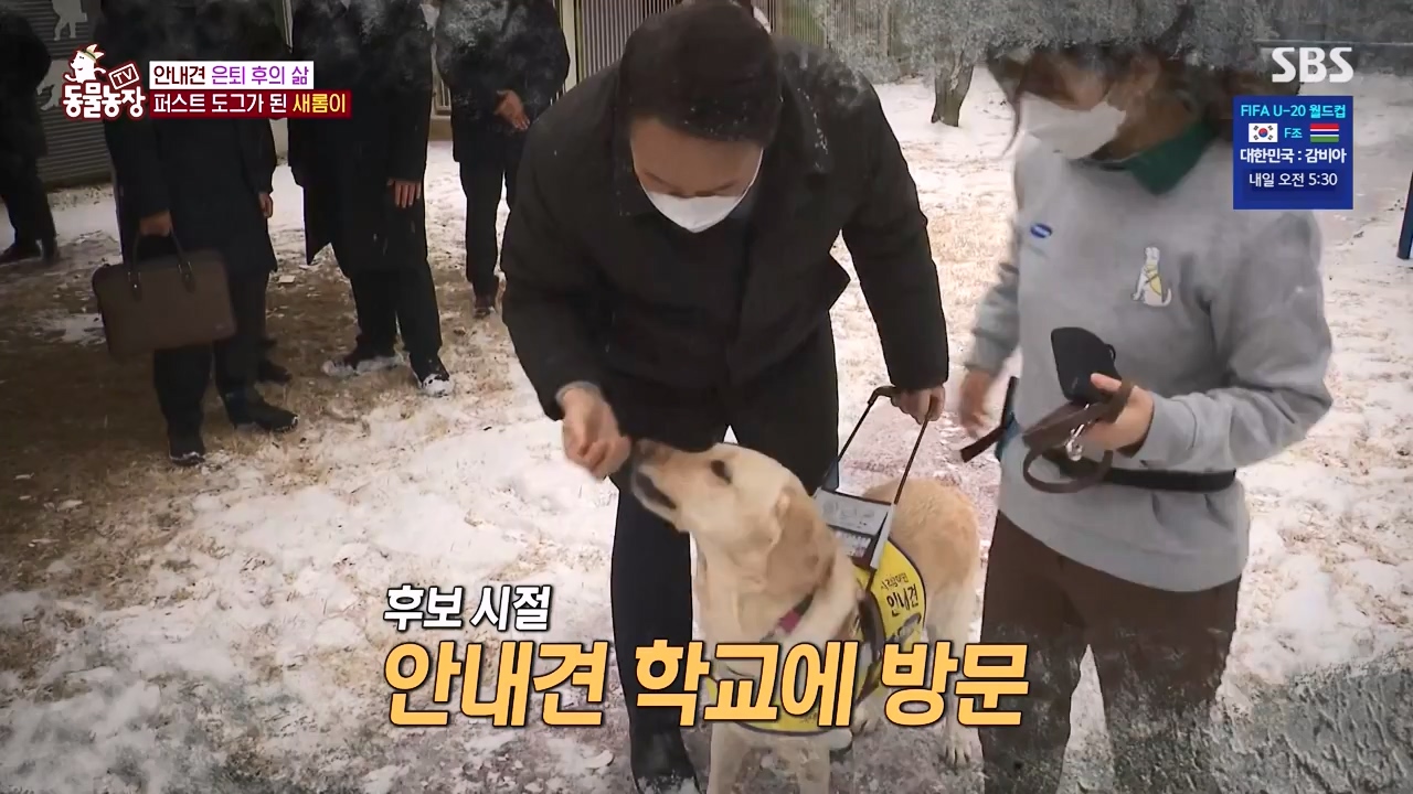 TV 동물농장.E1122.230529p-NEXT.mp4_20230528_170259.200.jpg