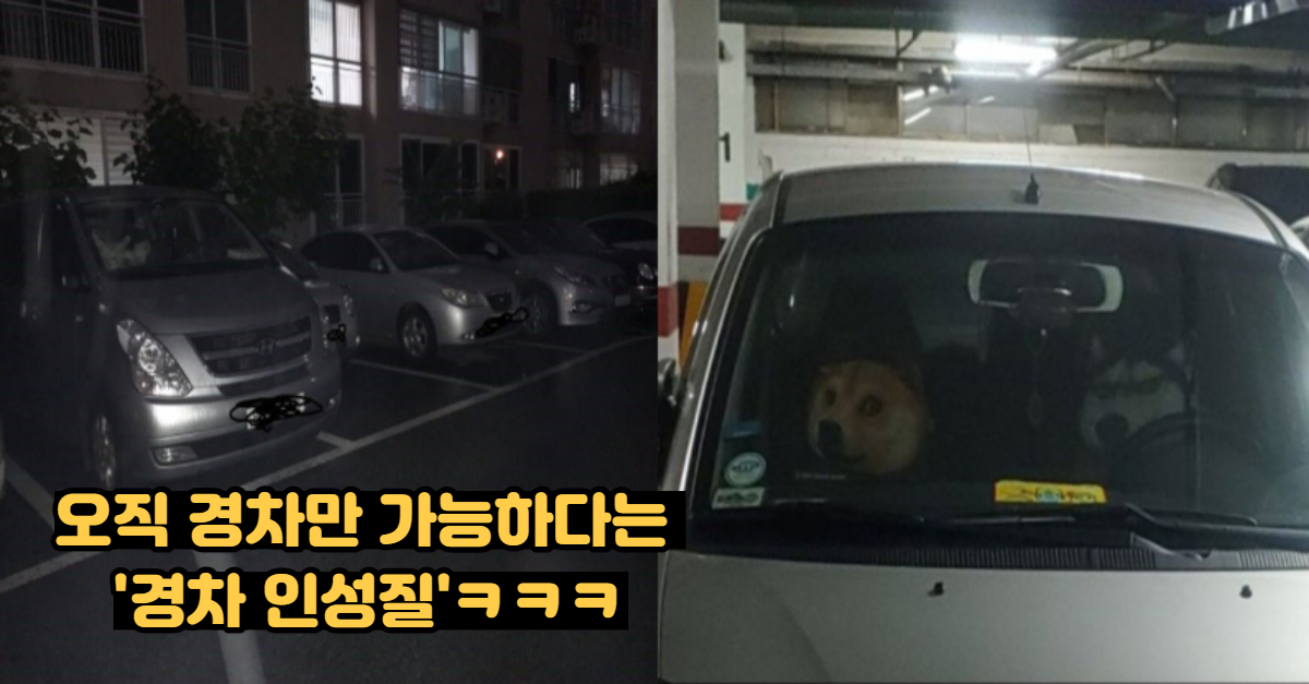  오직 경차만 가능하다는 '경차 인성질'ㅋㅋㅋ