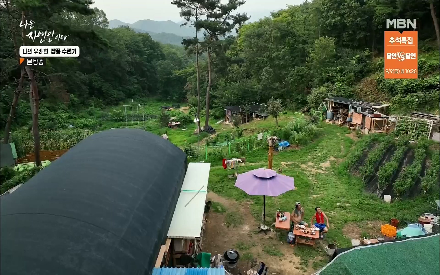 나는 자연인이다.E517.220831p.H264-F1RST.mp4_20220901_201002.869.jpg