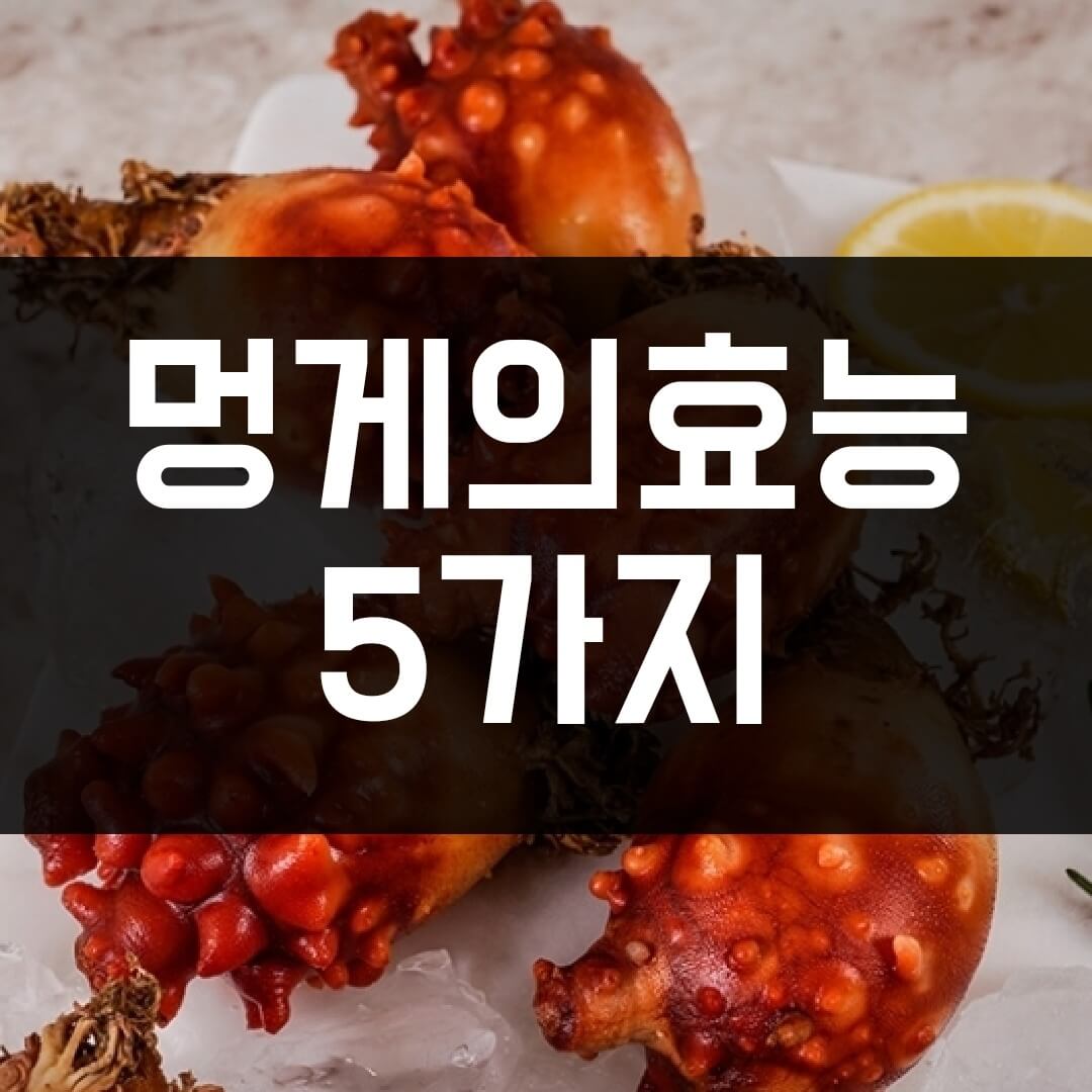  멍게의 효능 5가지 알고 계셨나요?