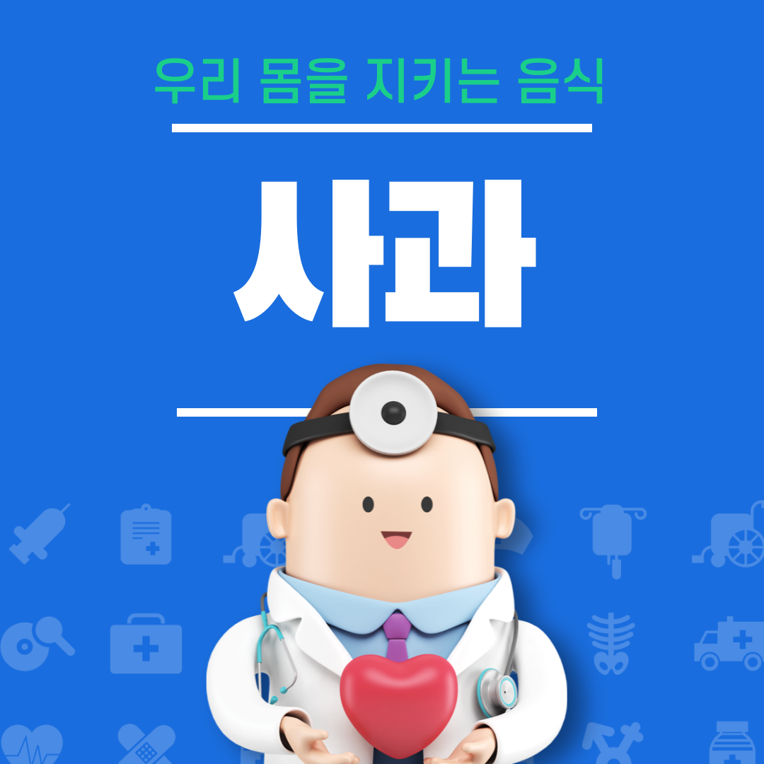 사과의 효능