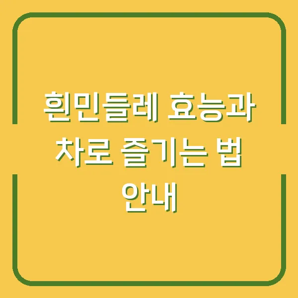 흰민들레 효능과 차로 즐기는 법 안내