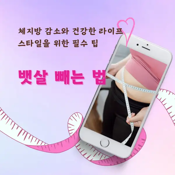뱃살 빼는 법 완벽 가이드