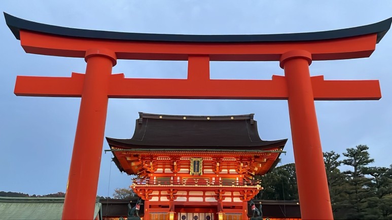 이나리 이미지