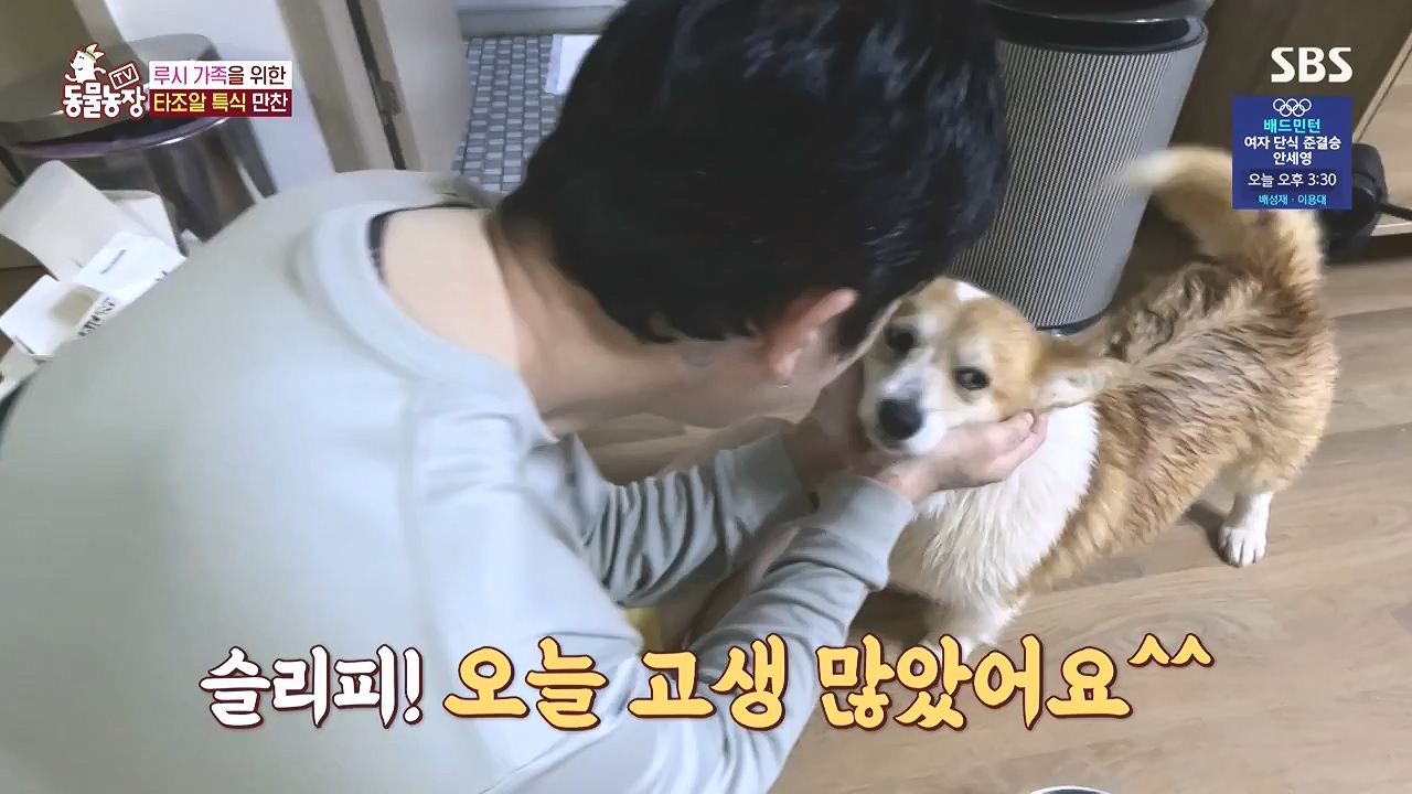 TV 동물농장.E1183.240805p-NEXT.mp4_20240804_154943.033.jpg