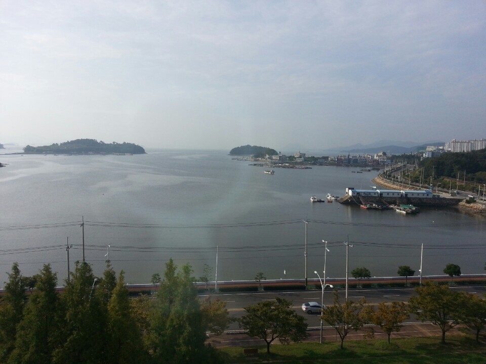  마스크의무화,학교오픈,경제전망,막가는 트럼프동향